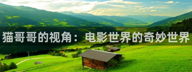 新闻图片